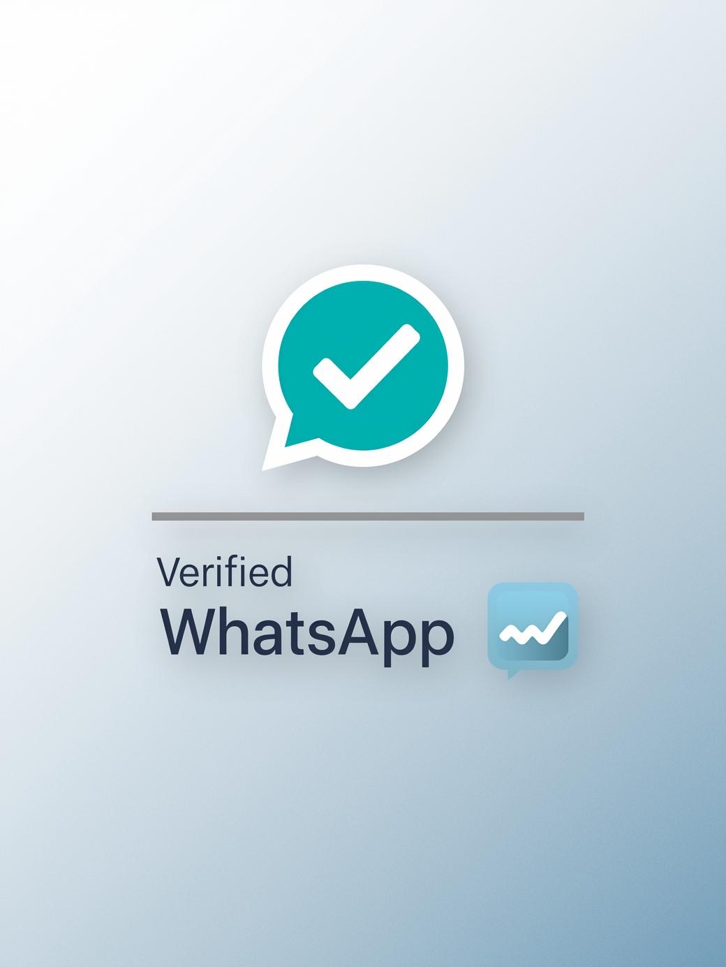Whatsapp Marketing Company