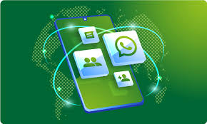Whatsapp Marketing Company